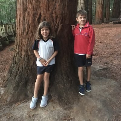 marcosbandin's profile picture. 