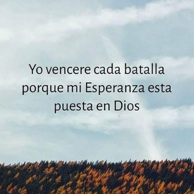 Pipe10073's profile picture. 