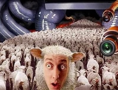 OhHorror1's profile picture. Nothing interesting, just ordinary, wondering, wondering, wrecking my brain.