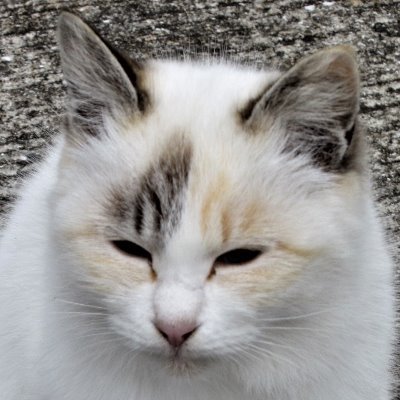 酔ったらお終いマン Radioyaji1 Twitter 酔ったらお終いマン Radioyaji1 Twitter