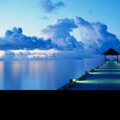 sonliman2020's profile picture. 