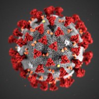 COVID-19_arXiv (@covid19arxiv) 's Twitter Profile Photo COVID-19_arXiv (@covid19arxiv) 's Twitter Profile Photo