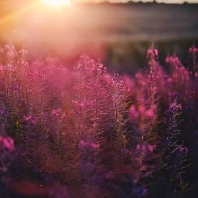 Cetinasli2's profile picture. 