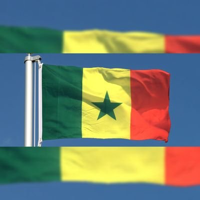 NiayeNiayeBi's profile picture. 