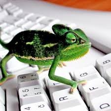 c4m4l30n_caz's profile picture. Profesional de la Seguridad Informatica y de la Informacion