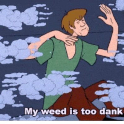 mmazzeo21's profile picture. 