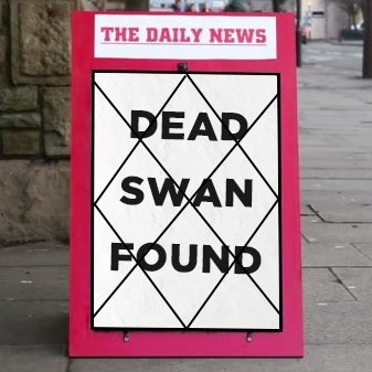 Dead Swan Found