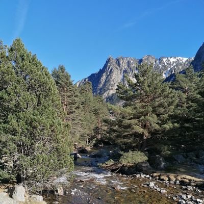 DomDIEU1's profile picture. Les horts