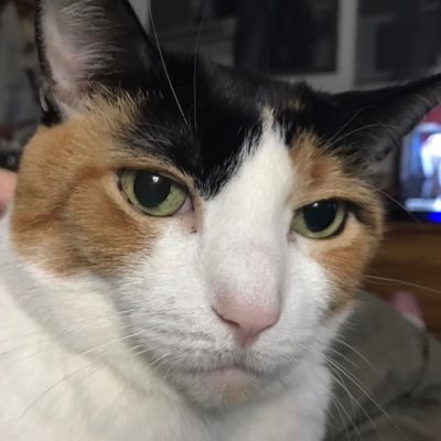 NycAuntie Profile Picture