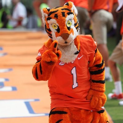 Hey all you cool cats and kittens 🐅 1v1 me in Death Valley. Representing the new standard for college football, go tigers 🥵