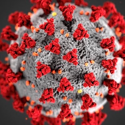 Coronavirus Pandemic Updates