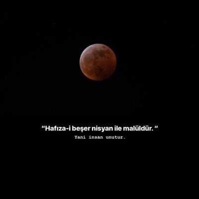 freedevs's profile picture. 💩