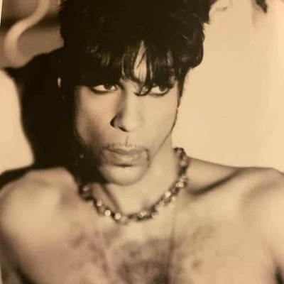 vanpelt_kelli's profile picture. 