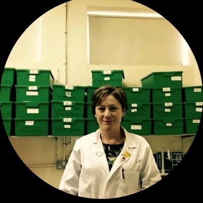 elainesnorton's profile picture. 