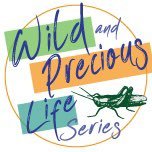 WildandPreciousLifeSeries (@wplseries) 's Twitter Profile Photo WildandPreciousLifeSeries (@wplseries) 's Twitter Profile Photo