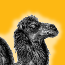 sppm_workshop's profile picture. Um evento sobre #Perl promovido pelo São Paulo Perl Mongers. data: 7 de Maio, 2011

A #Perl event promoted by the São Paulo Perl Mongers. May 7, 2011