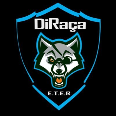 Perfil Oficial da Equipe de Futsal DiRaça F.C 🐺 // E.T.E República // Time mais querido da ETER🤷🏾‍♂ // Raça é a base de tudo⚽