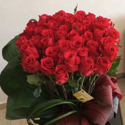 beatruz47839371's profile picture. Me gusta ser feliz