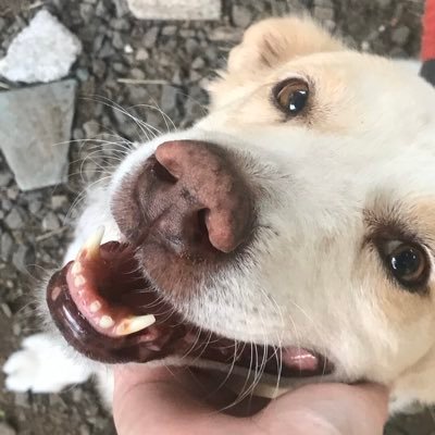 petaaalss's profile picture. hi