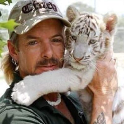 I saw a Tiger, I hope you’ll understand...I saw a Tiger, and Tiger saw man. Big cat lover. Trying to expose that Carol Baskins fed her husband to  Tigers 🐅