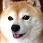 Goodest internet dog
Master Duel:
193-146-305
Duel links:
KC Cups
11/19 1st
2/20 3rd
9/20 2nd
4/21 3rd
9/24 4th
11/24 1st
WCS 2024 Top 4
WCS 2025