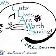 CLAWS: Cats' Lives Are Worth Saving Profile