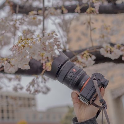 社会人 広島出身神奈川県民 カメラ撮るのが趣味です！ よろしくお願いします！ 写真ブログやってます