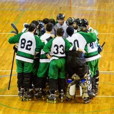 gabrielcsp's profile picture. triCAMpeão