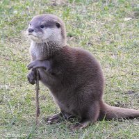 Eric Carlile (@mackthespork) 's Twitter Profile