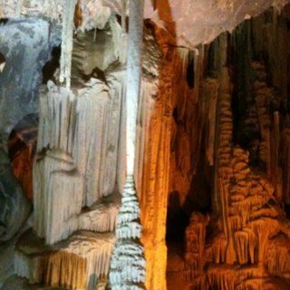 FJ_Vidales's profile picture. 