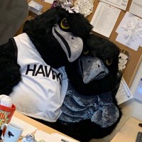 HAWK NATION🖤(@VVHSHawks) 's Twitter Profile Photo