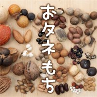 タネを拾い集めてます (@otanemochi) 's Twitter Profile