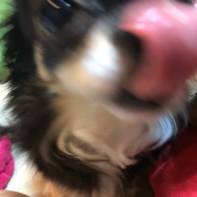 hn___matsu's profile picture. 物理