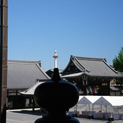 dr_kuzyou's profile picture. 