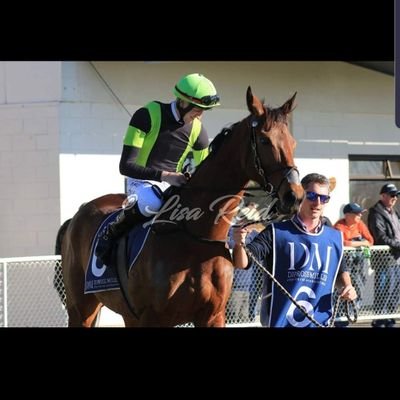 horse trainer/jumps jockey NZ