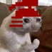 Anglerfish (@anglerfish_osrs) Twitter profile photo Anglerfish (@anglerfish_osrs) Twitter profile photo