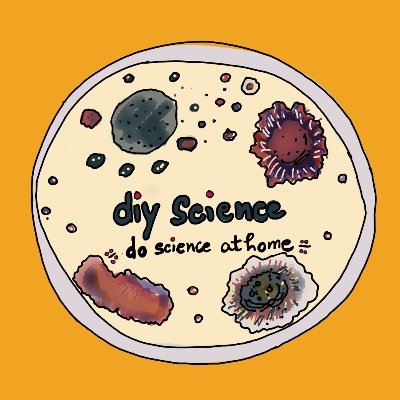diyscience2's profile picture. Aprende más sobre #biología a través de #experimentos con #plantas y #microorganismos!