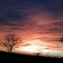 Sharon Valenti - @sdvaltx - Twitter