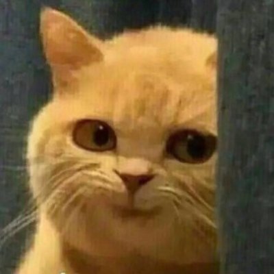 JimDavi38397797's profile picture. CHINESE
JAVA,PYTHON
机器学习
人工智能
实时政治