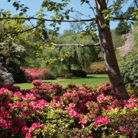 Cockington Park (@cockingtonpark) 's Twitter Profile