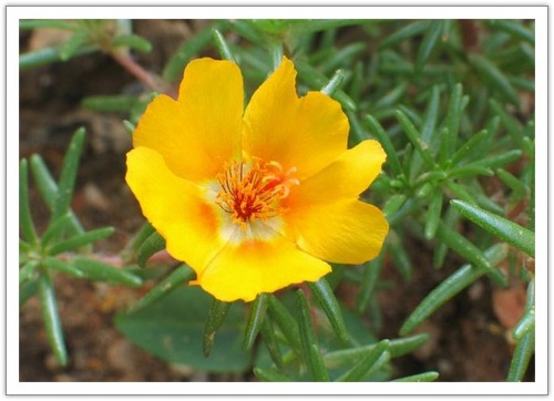 realty_city's profile picture. 공인중개사