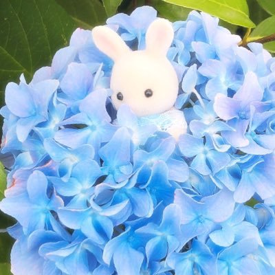 みるくうさぎの赤ちゃんばにらあじ Milk Vanilla37 Twitter
