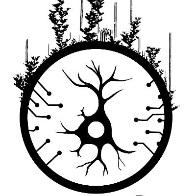 Deep Learning based on Cellular Automata and Biological Neural Networks, OsloMet & NTNU