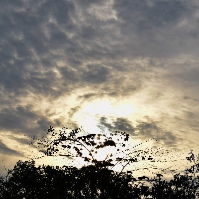 McKreen056666's profile picture. 