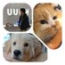 よーらいとまりもとまる。 (@yoraaai) Twitter profile photo よーらいとまりもとまる。 (@yoraaai) Twitter profile photo