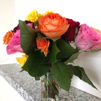 Catherine (@vd5mhzce33hv5ny) Twitter profile photo