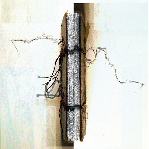 anovelxperiment's profile picture. An experiment in digital writing.