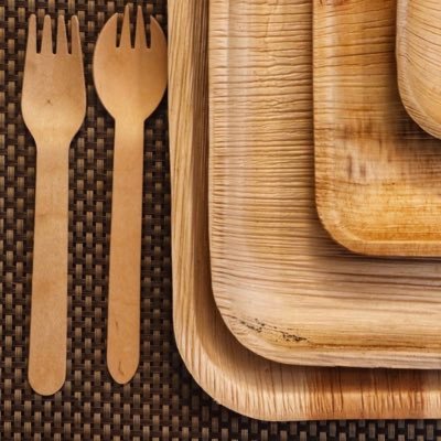 Stylish Bio degradable Areca Tableware, Wooden Cutlery, Paper straws , Take away boxes & Bamboo products. https://t.co/3kjATW7EVz, marketing@organicraft.in,