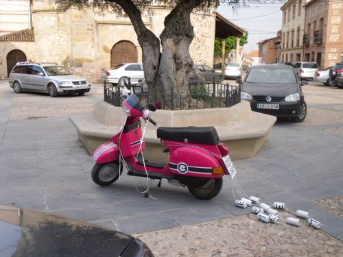 elenacaneque's profile picture. 