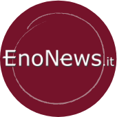 EnoNews.it (@enonews_it) 's Twitter Profile